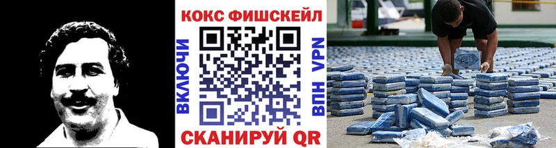 COCAIN Fish Scale  Купить где  Карабаш 