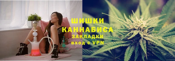 твердый Ладушкин