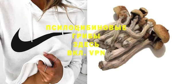 твердый Ладушкин