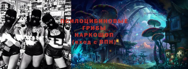 apvp Нестеровская