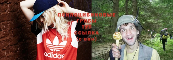 ECSTASY Лабытнанги