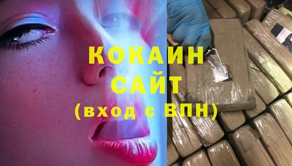 твердый Ладушкин