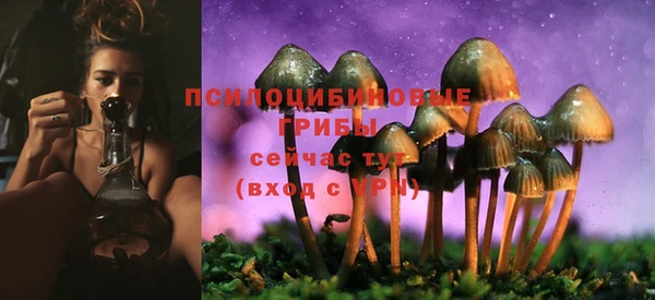твердый Ладушкин