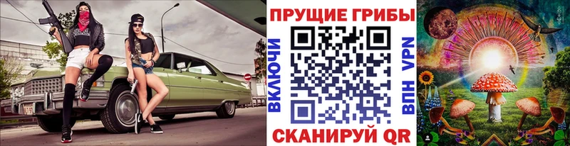 Купить  Карабаш  Псилоцибиновые грибы ЛСД 